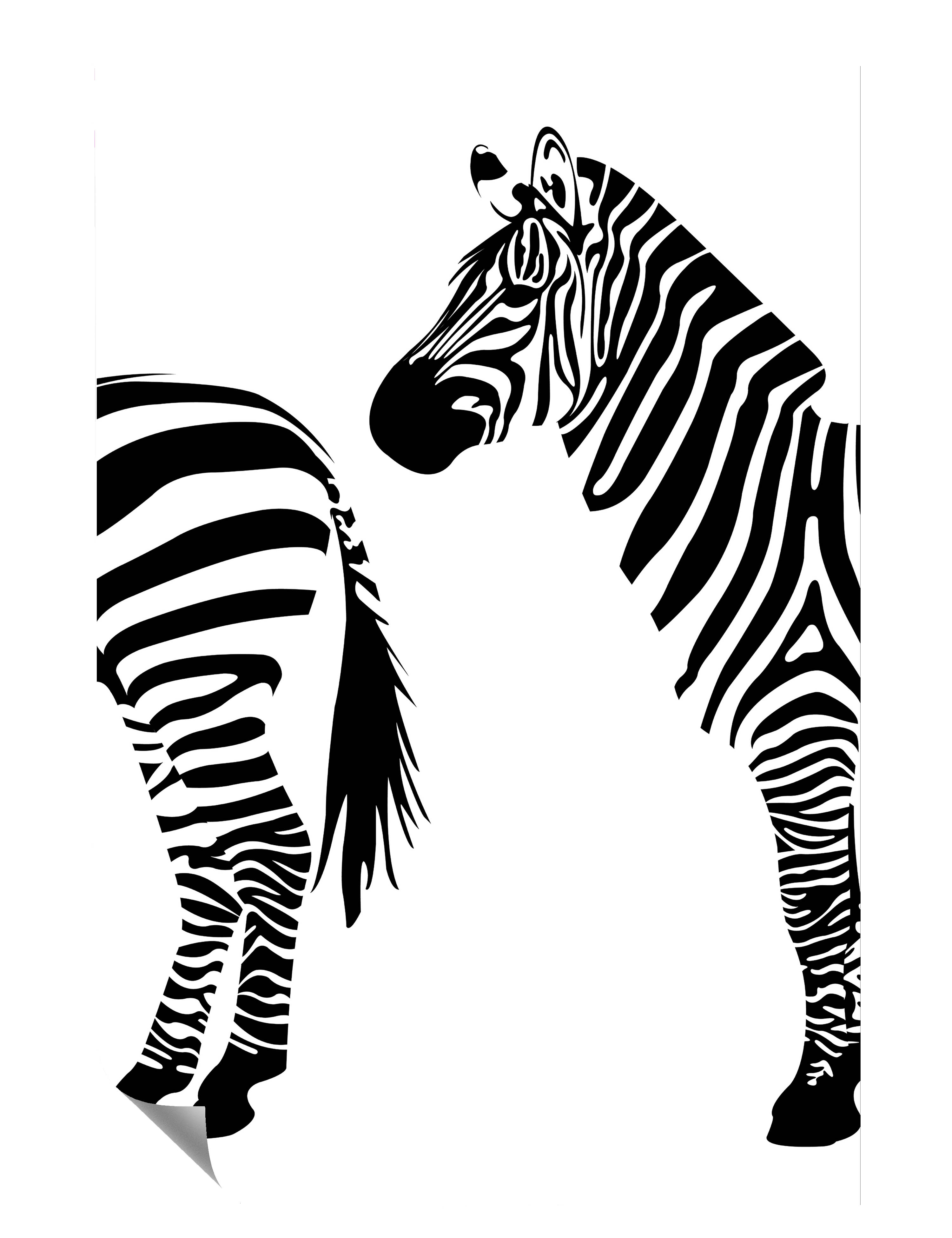 Zebra In Reihenfolge Kunstdruck Poster P0526