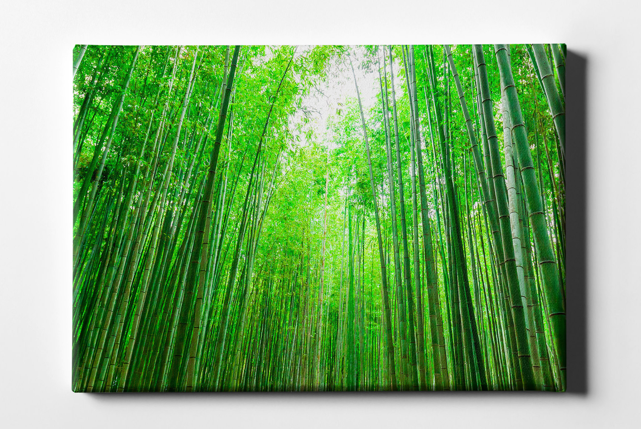 Bambus Wald Lichtblick Leinwand L0164