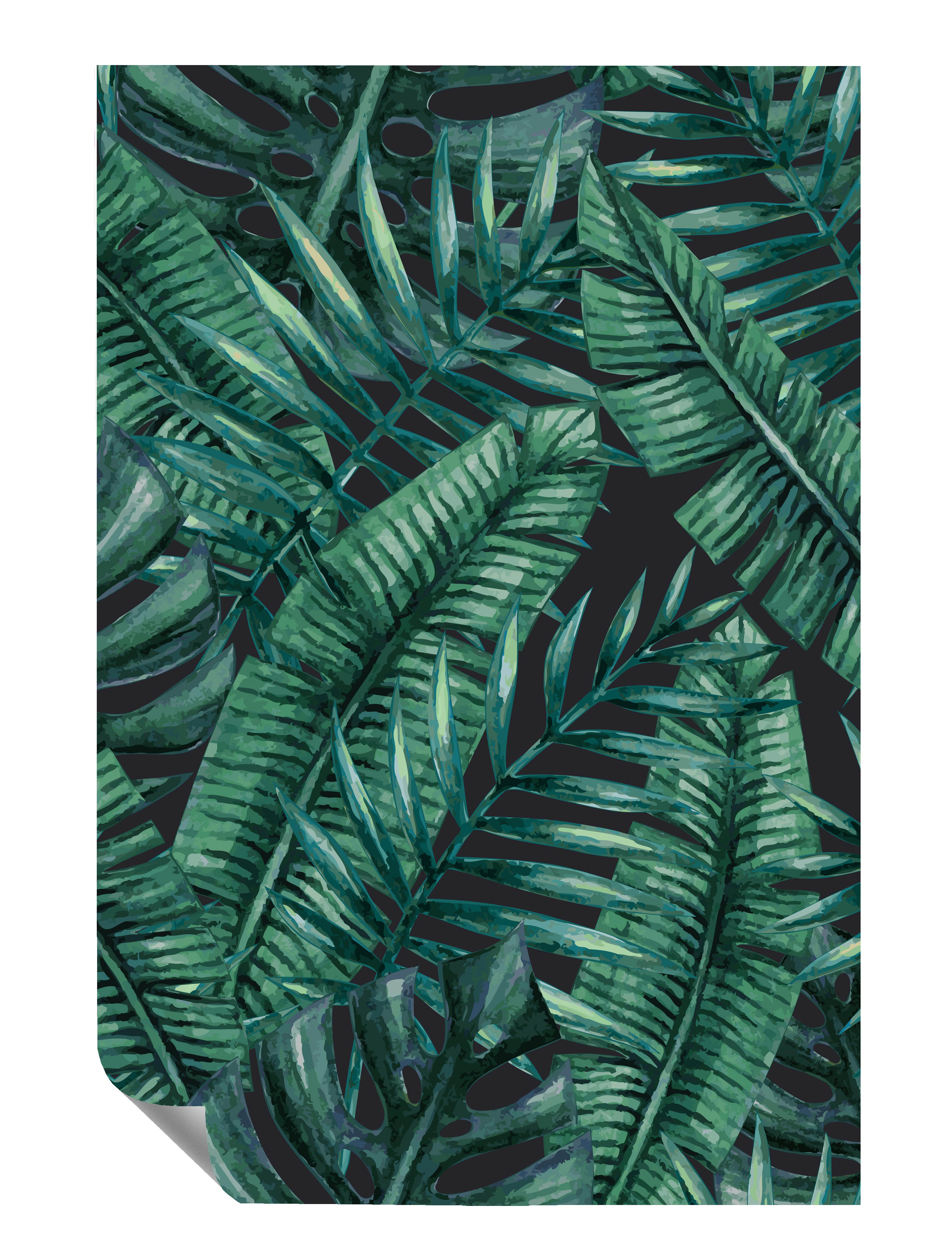 Blätterwerk Verschiedene Große Palmenblätter  Gemalt Poster P0116