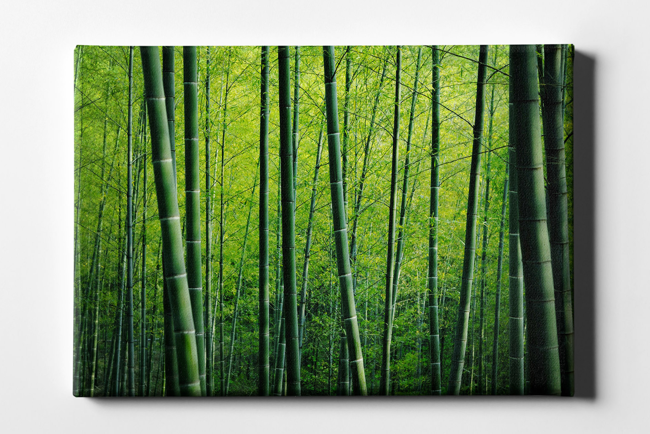 Bambus Wald Leinwand L0149