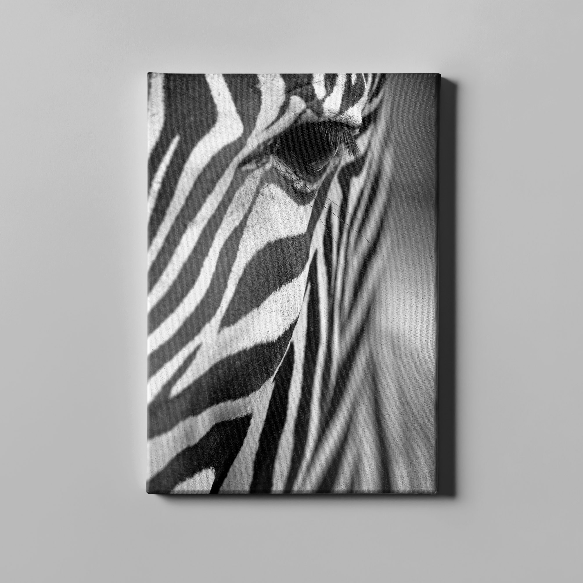 Zebra Nahaufnahme Tier Leinwand L0344