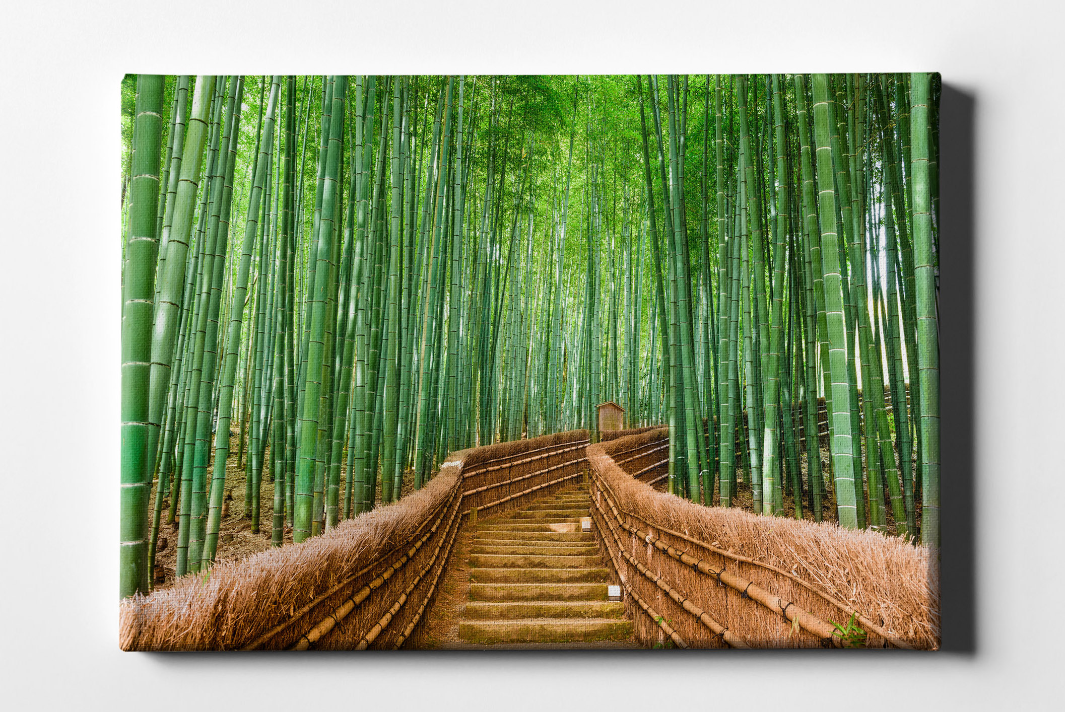 Bambus Wald mit Weg Leinwand L0151