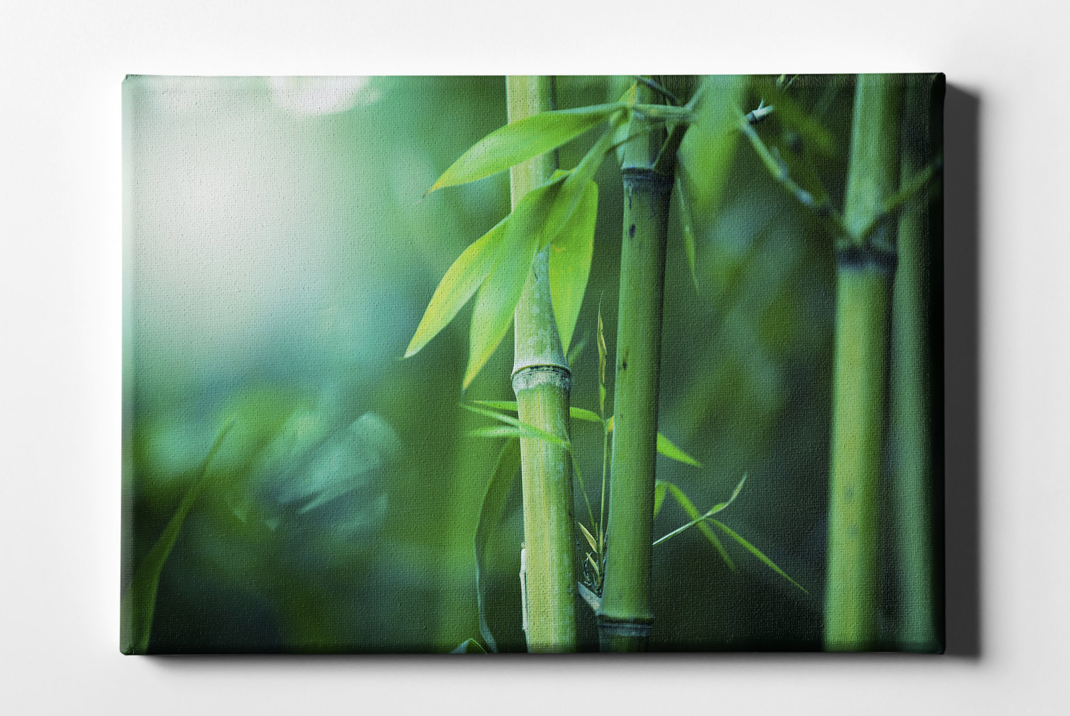 Bambus Nahaufnahme Blätter Leinwand L0158