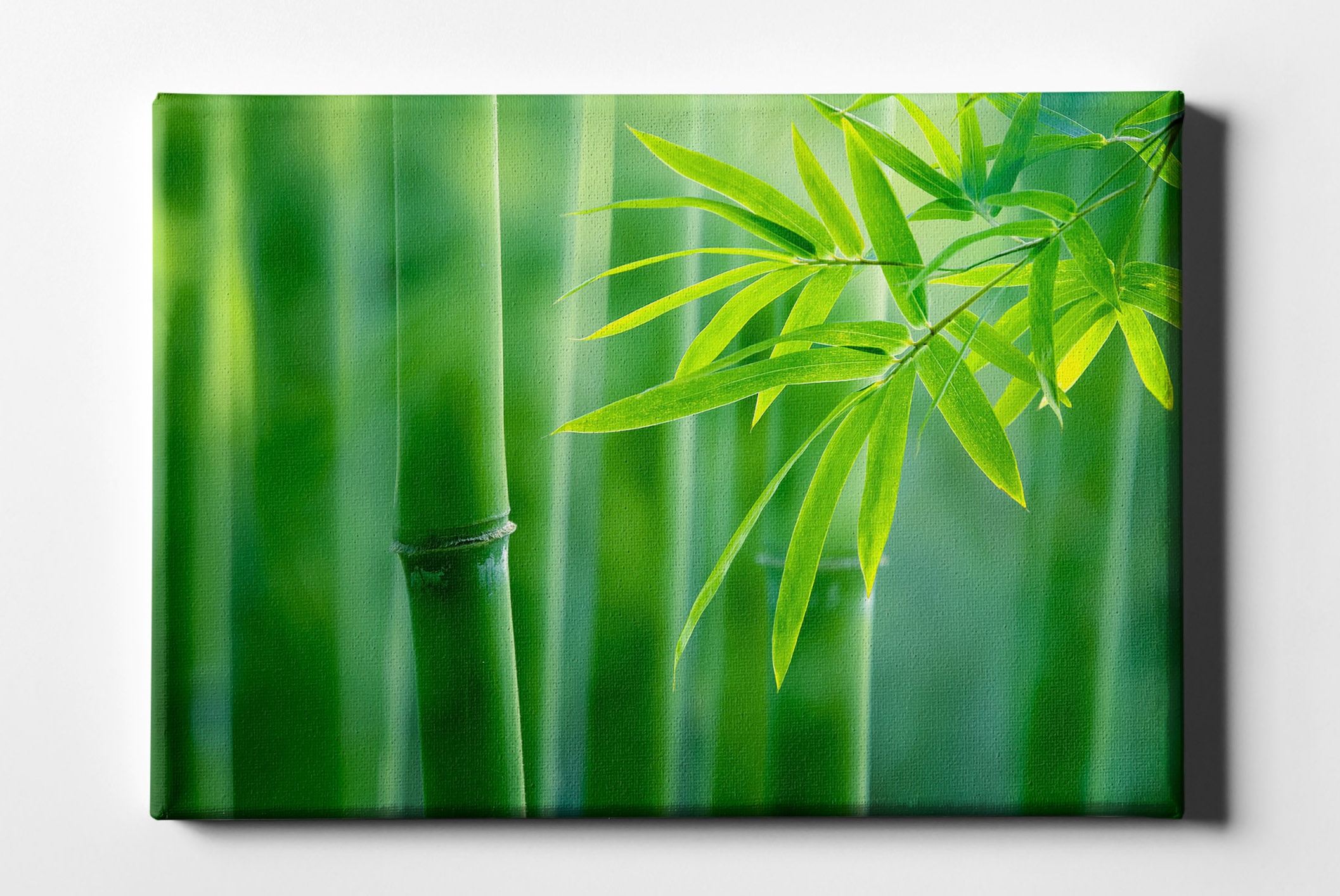 Bambusstäbe und Blätter Leinwand L0163