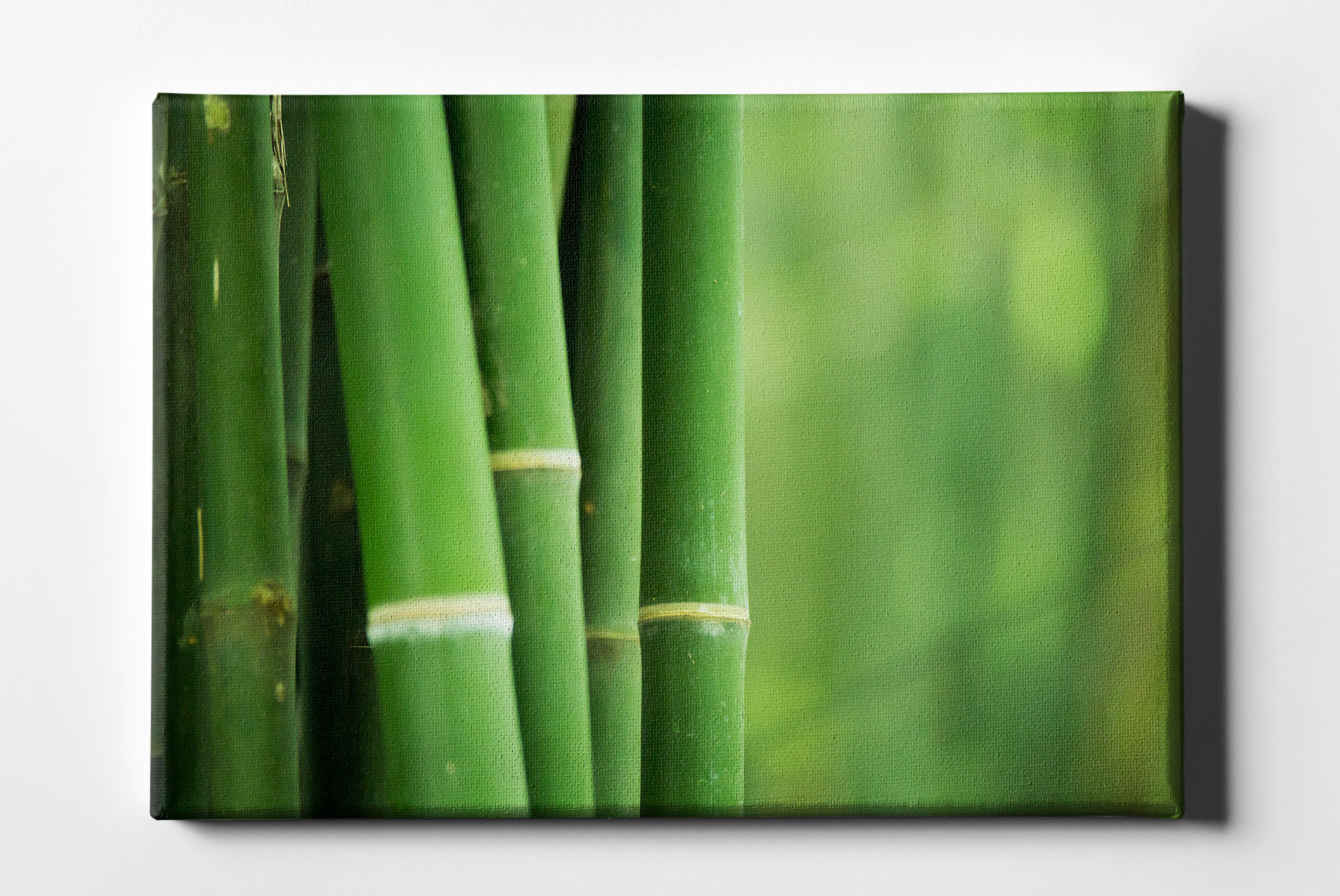 Bambusstäbe Nahaufnahme Leinwand L0161