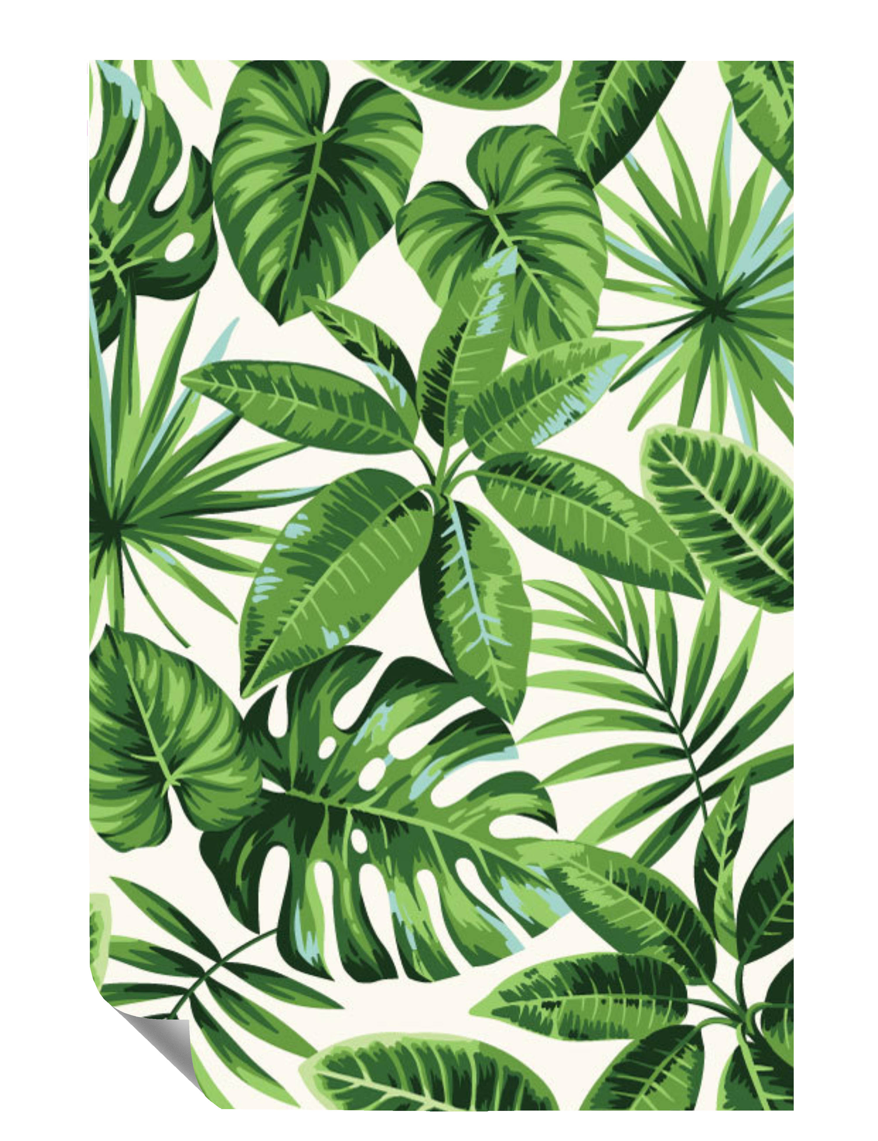 Blätterwerk Verschiedene Kleine Palmenblätter Gemalt Poster P0117