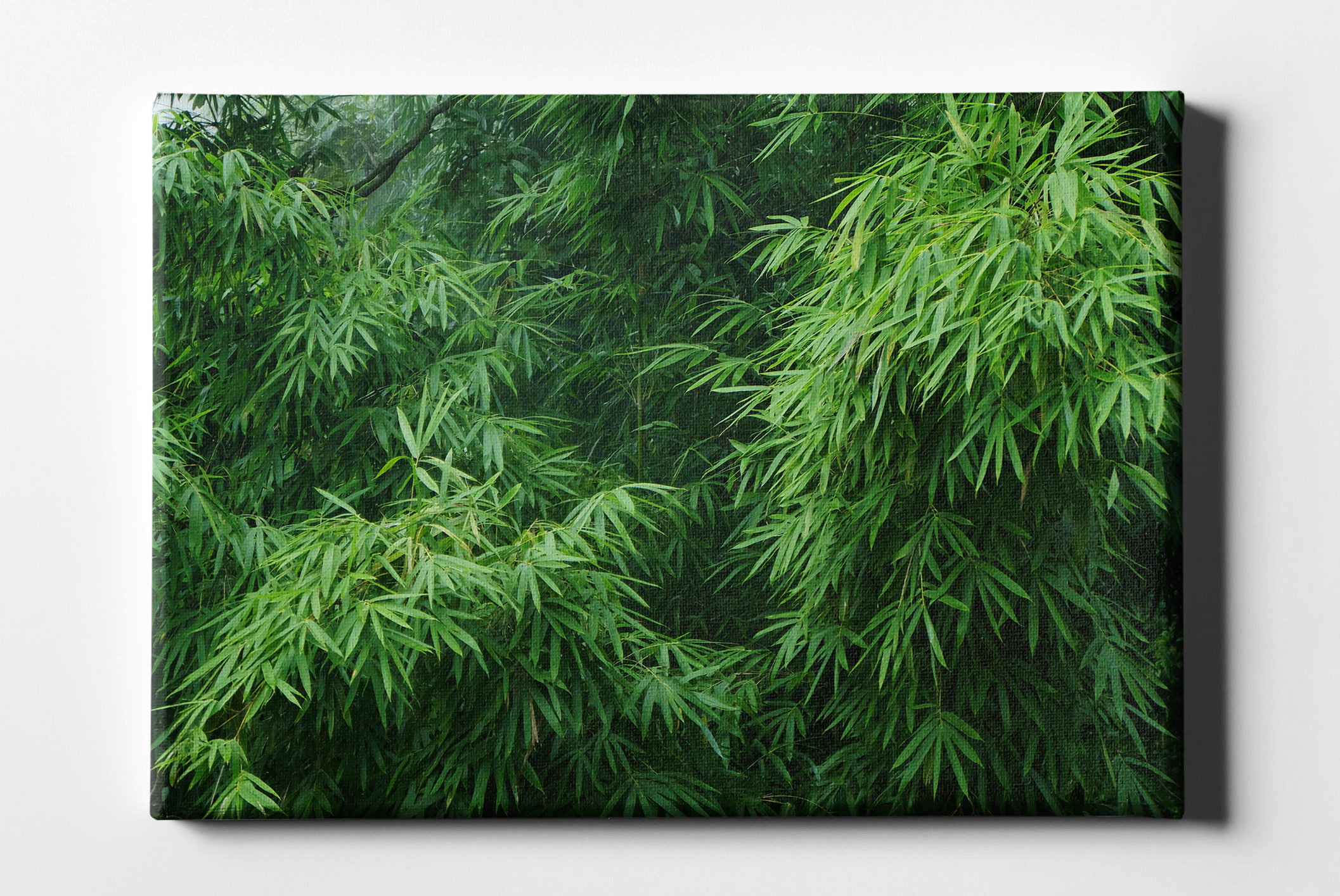 Bambusblätter Wald Leinwand L0160