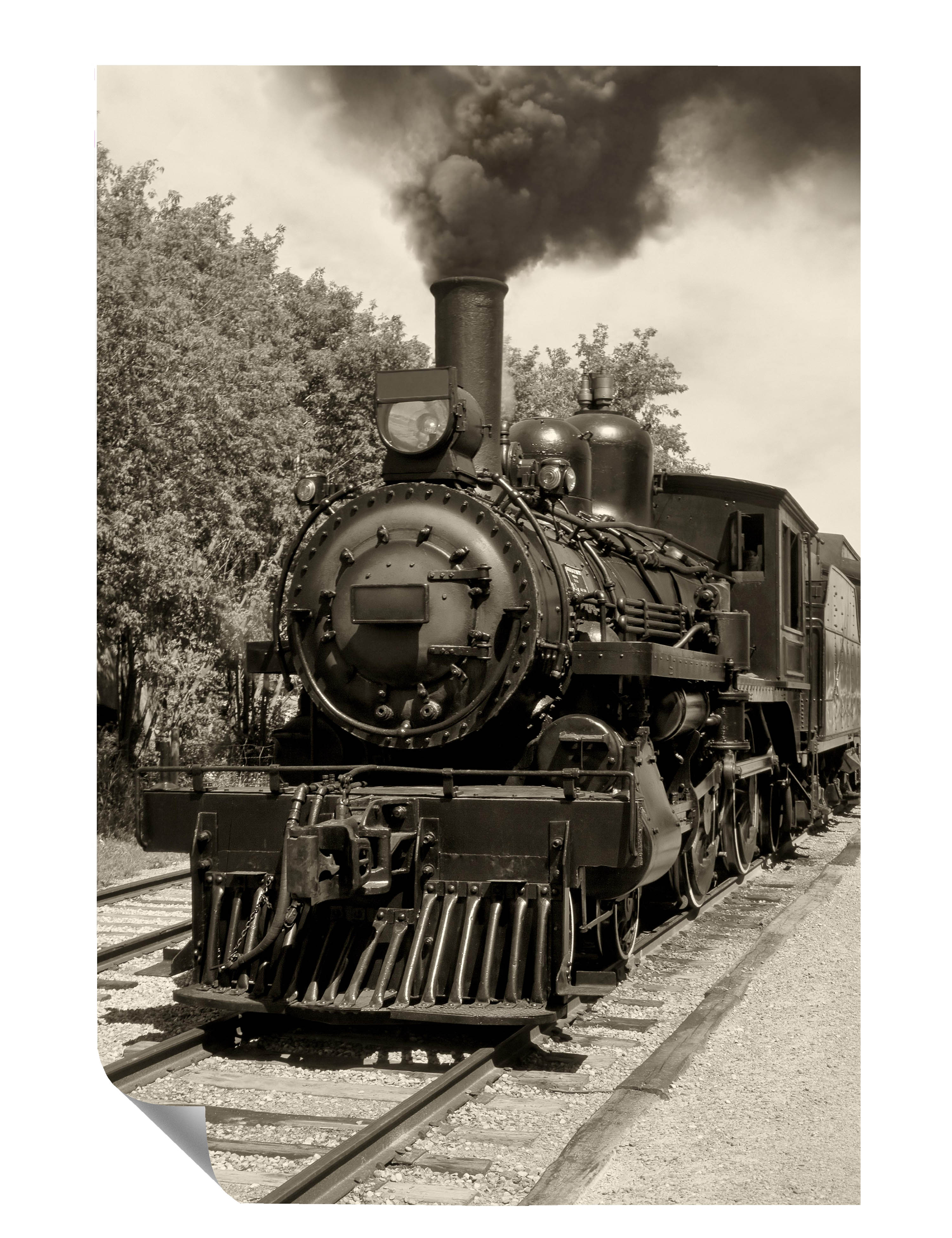 Dampf Lokomotive Wald Schienen Poster P0069