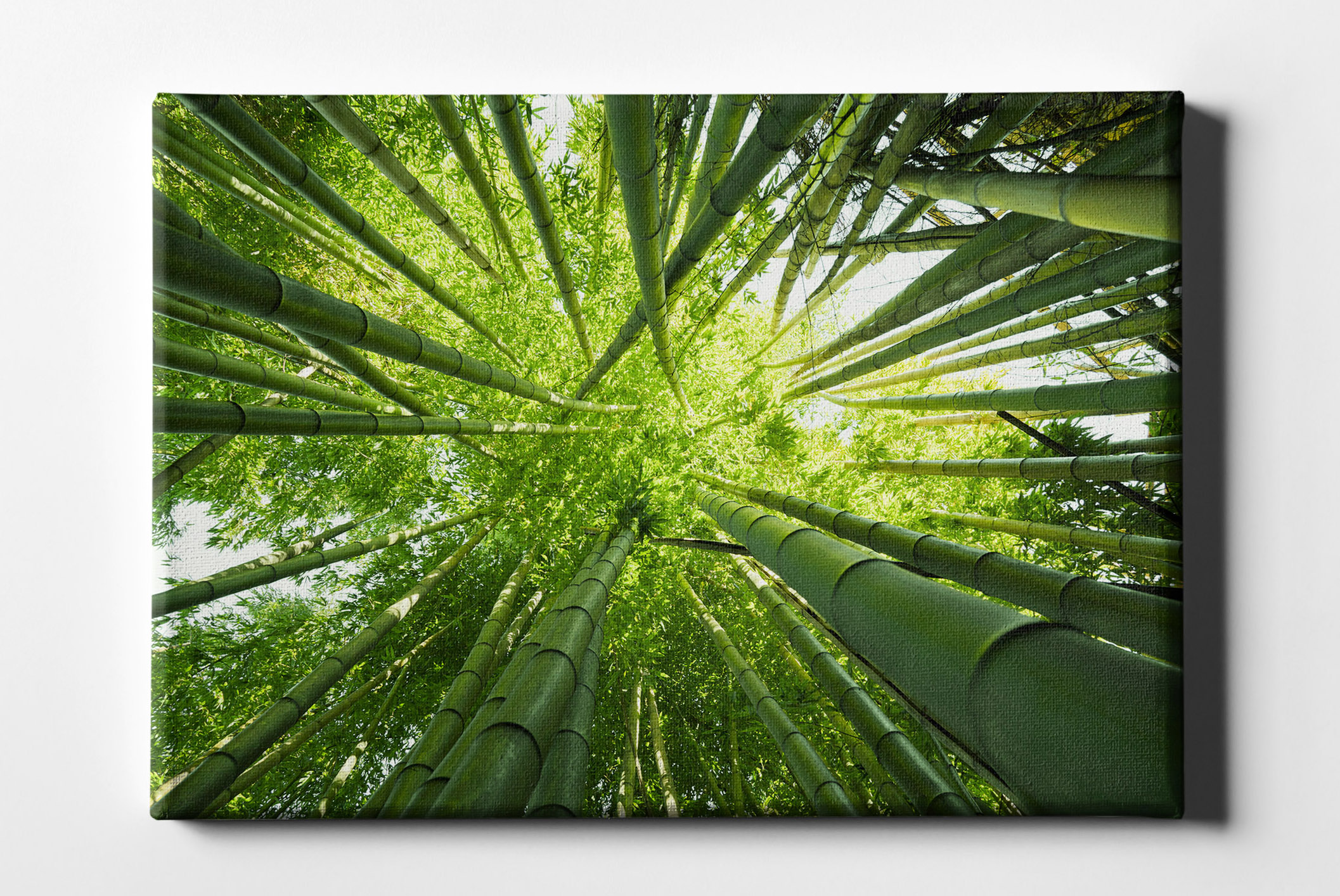 Bambusstäbe Wald Leinwand L0150