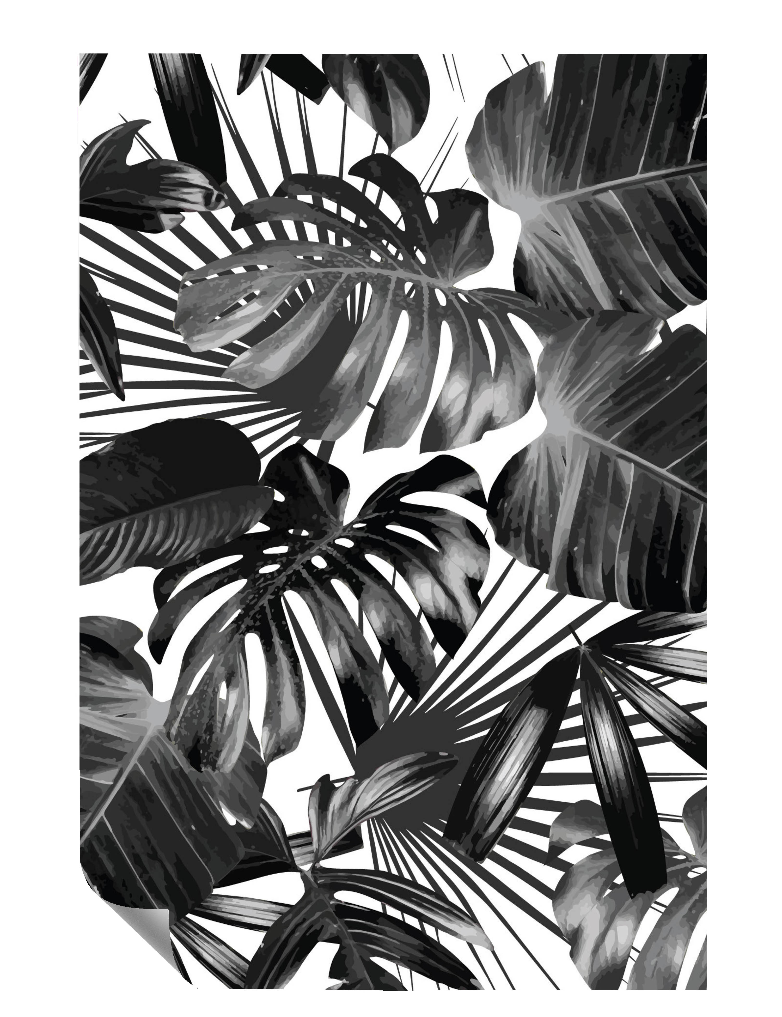 Blätterwerk Verschiedene Blätter Schwarz Weiß Poster P0114
